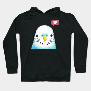 Blue Budgerigar bird Hoodie